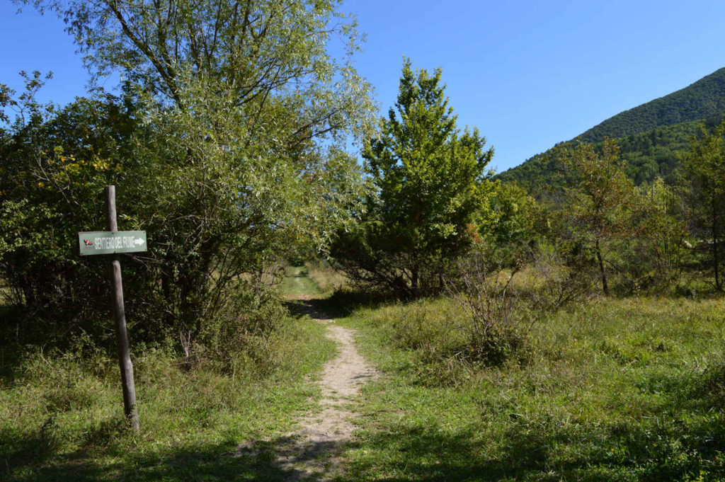 trekking-path-nature