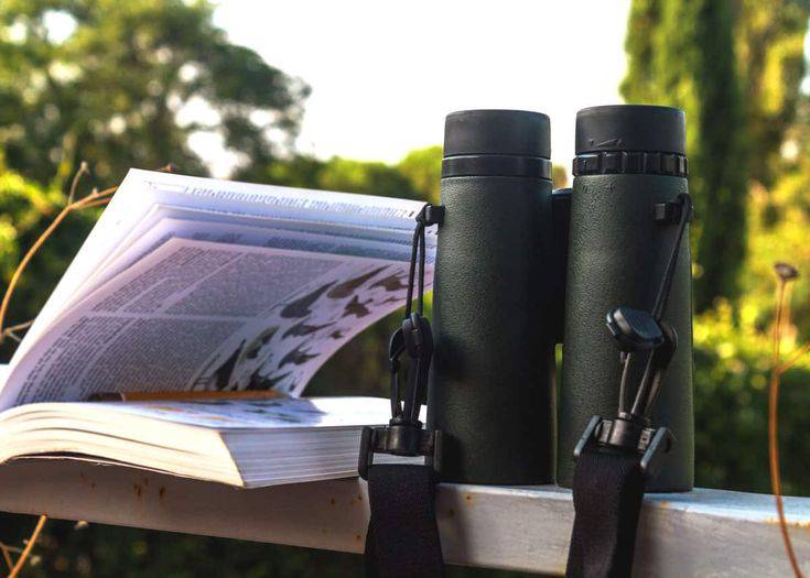 Understanding Compact Binoculars