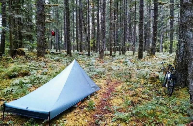 Choosing the Right Location for Stealth Camping
